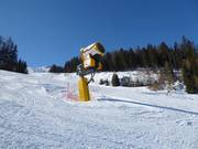 Cannone da neve nell’area sciistica Ladurns