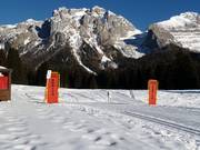 Pista da fondo a Madonna di Campiglio