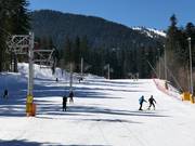 Pista di esercitazione Rotata