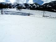 Area di esercitazione presso il tappeto Jelly Bean