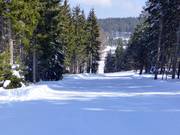 Variante intermedia "Abkürzung"