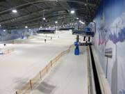 La pista principale vista dalla seggiovia