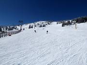 Pista n. 13c Gobelja