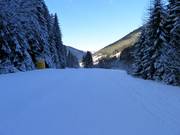 Pista n. 24 discesa a valle verso Welschnofen