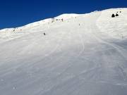 Anche le piste nere sono perfettamente preparate.