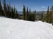 Tipica discesa attraverso il bosco a Winter Park