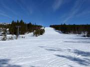 Discesa facile Dalen 2