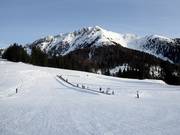 Pista di esercitazione al Passo Lavazè