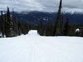 Piste Revelstoke Mountain Resort