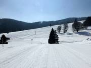 Discesa di collegamento tra Mösle- e Schwinbachlift