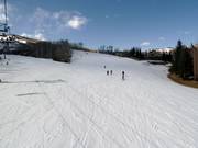 Discesa Velvet Falls