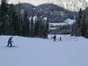 Pista difficile 14 Balbach-Ochsengarten