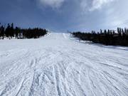Pista difficile Stora backen a Tandådalen