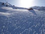 Tracce nella neve fresca accanto alla pista FIS a Lenk