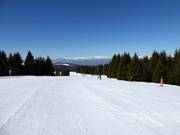 Pista facile Paut-Bus de la Nef n. 23b