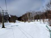 Pista facile South Road