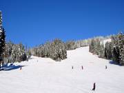 Discese verso il Sun Peaks Village