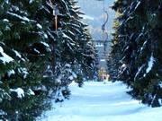 Predigtstuhl II - Herzerllift - Skilift con T-bar/ancora