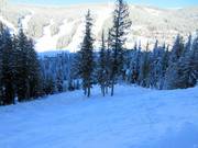 Discesa Double Diamond sul Mt. Morrisey