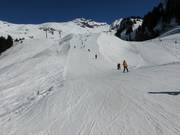 Discesa facile allo skilift Spycher