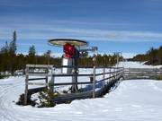 Biejjieliften - Skilift a piattello