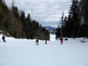 Pista facile presso lo skilift nella zona a valle