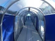 Bunny Express 2 - Tapis roulant/Tappeto Magico con galleria