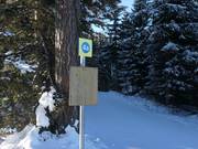 Segnaletica delle piste