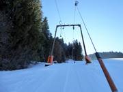 Schusterbühellift - Skilift a piattello