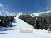 Discesa Whiskey Jack