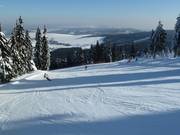 Pista 8 Přemostěná