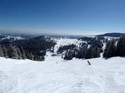 Pista n. 13a Gobelja