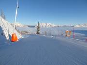 Facile discesa a valle parallela alla pista da slittino