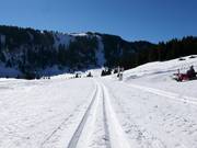 Pista di fondo Madilsrunde (Alp Tannenboden)