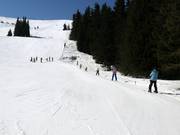 Sciovia A separata presso Aleko (non inclusa nello skipass normale)