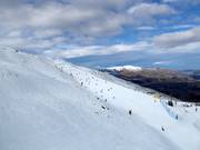 Pista molto facile Big Easy