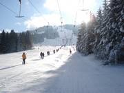 Sorgschrofenlift 1 - Skilift con T-bar/ancora