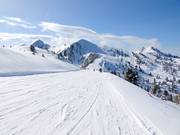 Pista Forcella-Bombasel