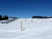 Suggerimento per i più piccoli 