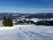 Pista facile presso la seggiovia Bärenlift