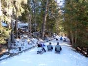 Pista da slittino Rosskopf