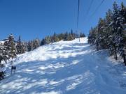 Pista a gobbe presso Champagne Express