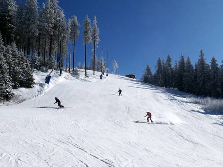 Comprensori sciistici per sciatori esperti e freeriding Repubblica Ceca – Sciatori esperti, freerider Plešivec - Abertamy