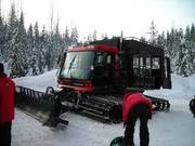 Cat-skiing con i Big Red Cats