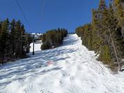 Pista di gobbe Kapoof al Mount Norquay