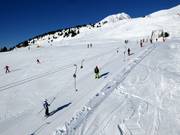 Tre Larici - Skilift a piattello