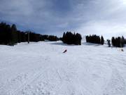 Pista sportiva nel bosco verso Aebi