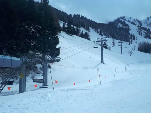 Tronchey - © Michael Medek