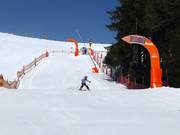 Tracciato di misurazione della velocità presso la Almbahn a Ellmau