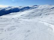 Discesa facile Hyrtamyra n. 19